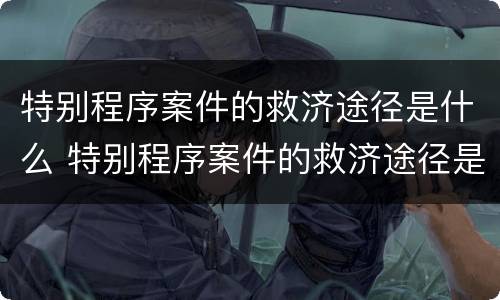 特别程序案件的救济途径是什么 特别程序案件的救济途径是什么意思