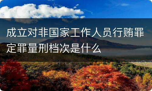 成立对非国家工作人员行贿罪定罪量刑档次是什么
