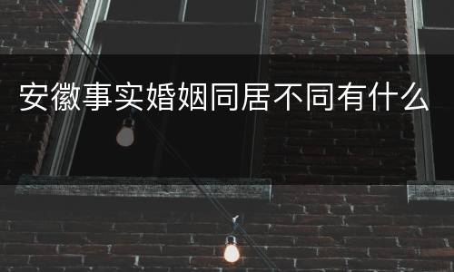 安徽事实婚姻同居不同有什么