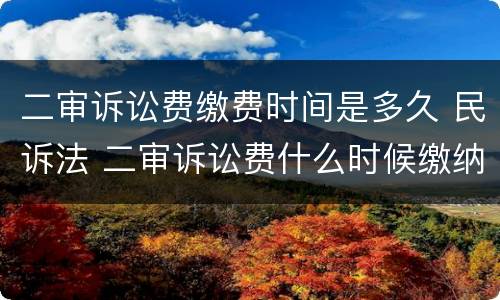 二审诉讼费缴费时间是多久 民诉法 二审诉讼费什么时候缴纳