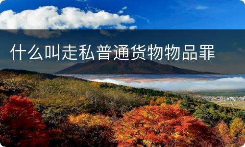 什么叫走私普通货物物品罪