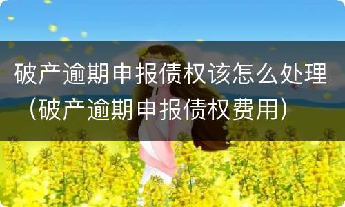 破产逾期申报债权该怎么处理（破产逾期申报债权费用）