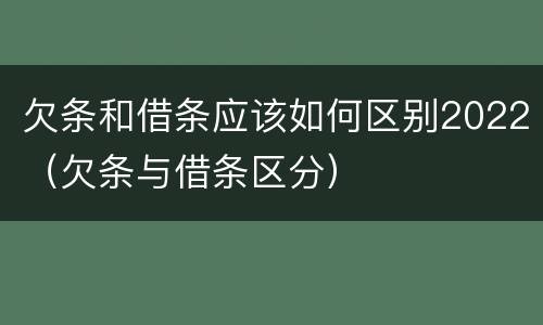 欠条和借条应该如何区别2022（欠条与借条区分）
