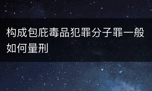 构成包庇毒品犯罪分子罪一般如何量刑