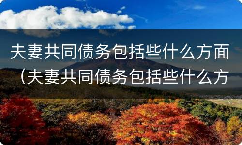 夫妻共同债务包括些什么方面（夫妻共同债务包括些什么方面的内容）
