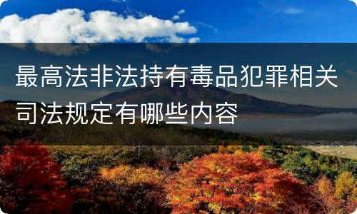 最高法非法持有毒品犯罪相关司法规定有哪些内容