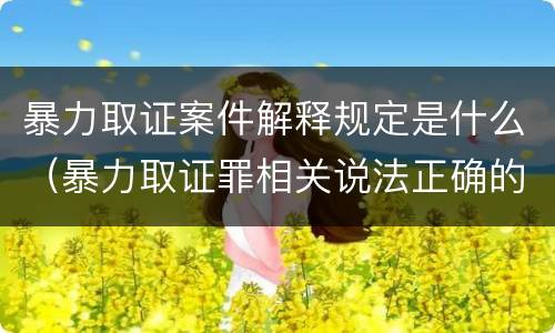 暴力取证案件解释规定是什么（暴力取证罪相关说法正确的是）