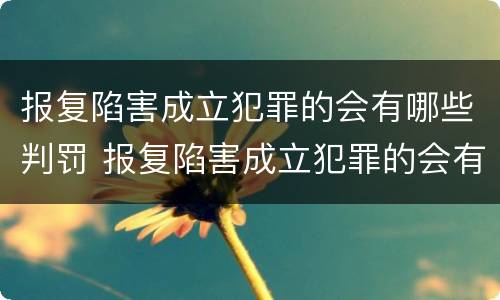 报复陷害成立犯罪的会有哪些判罚 报复陷害成立犯罪的会有哪些判罚呢