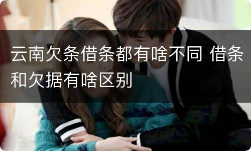 云南欠条借条都有啥不同 借条和欠据有啥区别