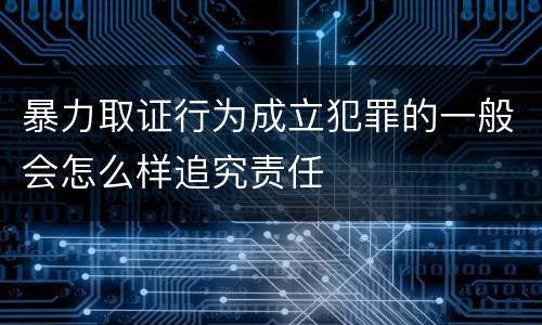 暴力取证行为成立犯罪的一般会怎么样追究责任