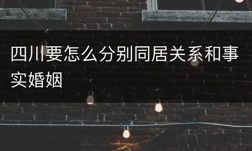 四川要怎么分别同居关系和事实婚姻