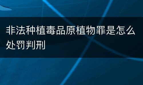 非法种植毒品原植物罪是怎么处罚判刑