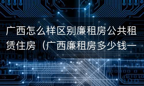 广西怎么样区别廉租房公共租赁住房（广西廉租房多少钱一个月）