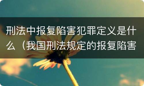 刑法中报复陷害犯罪定义是什么（我国刑法规定的报复陷害罪的主体是）