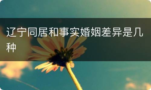 辽宁同居和事实婚姻差异是几种