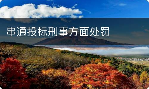 串通投标刑事方面处罚