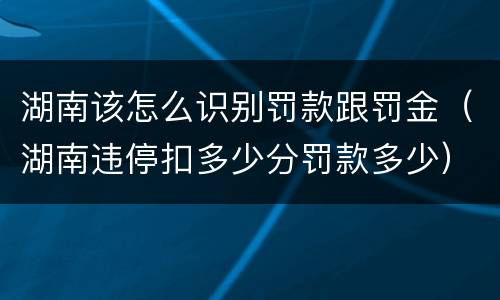湖南该怎么识别罚款跟罚金（湖南违停扣多少分罚款多少）