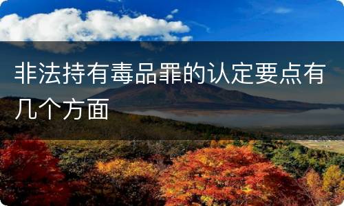非法持有毒品罪的认定要点有几个方面