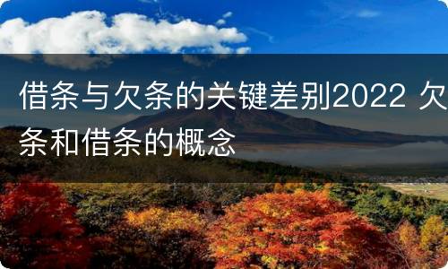 借条与欠条的关键差别2022 欠条和借条的概念