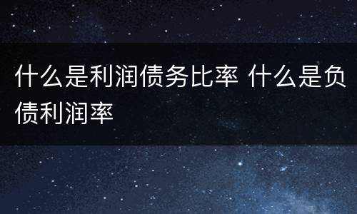 什么是利润债务比率 什么是负债利润率