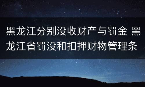 黑龙江分别没收财产与罚金 黑龙江省罚没和扣押财物管理条例