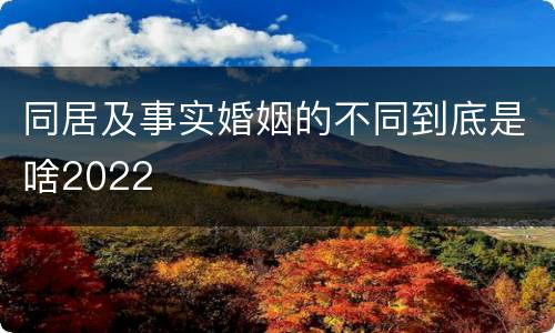 同居及事实婚姻的不同到底是啥2022