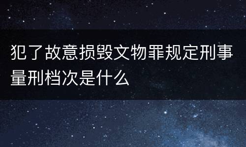 犯了故意损毁文物罪规定刑事量刑档次是什么