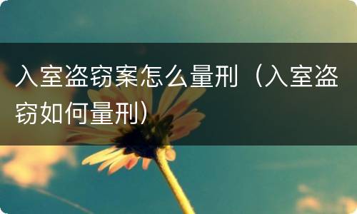入室盗窃案怎么量刑（入室盗窃如何量刑）