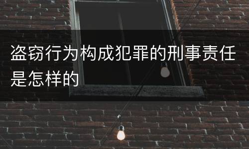 盗窃行为构成犯罪的刑事责任是怎样的