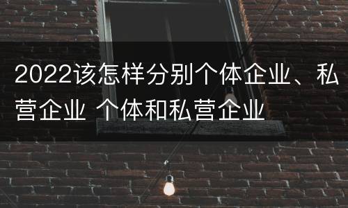2022该怎样分别个体企业、私营企业 个体和私营企业