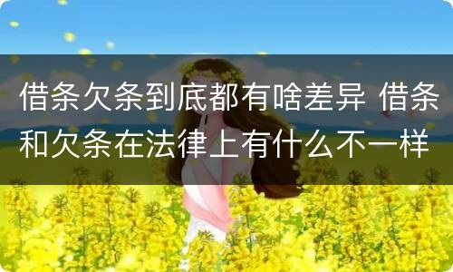 借条欠条到底都有啥差异 借条和欠条在法律上有什么不一样的地方