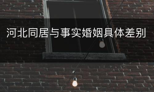 河北同居与事实婚姻具体差别