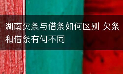 湖南欠条与借条如何区别 欠条和借条有何不同