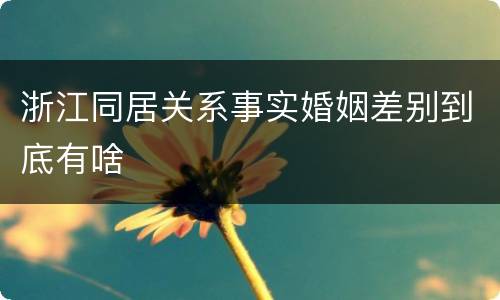 浙江同居关系事实婚姻差别到底有啥