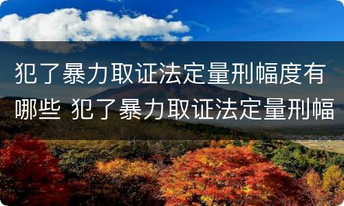 犯了暴力取证法定量刑幅度有哪些 犯了暴力取证法定量刑幅度有哪些影响