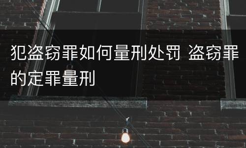 犯盗窃罪如何量刑处罚 盗窃罪的定罪量刑