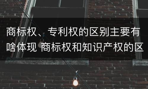 商标权、专利权的区别主要有啥体现 商标权和知识产权的区别