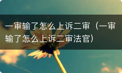 一审输了怎么上诉二审（一审输了怎么上诉二审法官）