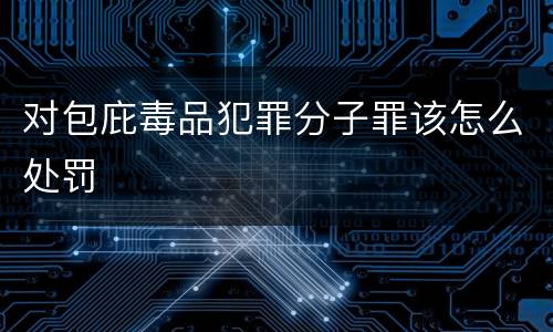 对包庇毒品犯罪分子罪该怎么处罚