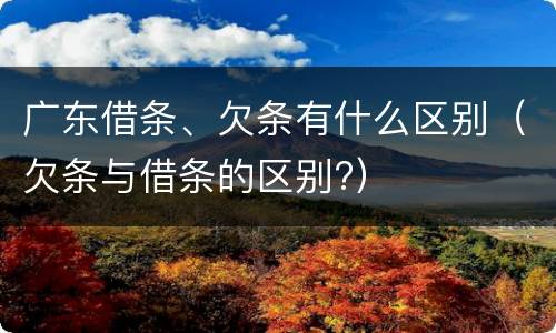 广东借条、欠条有什么区别（欠条与借条的区别?）