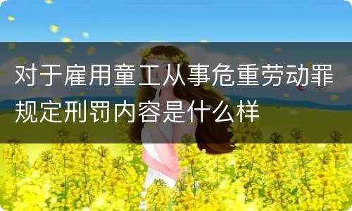 对于雇用童工从事危重劳动罪规定刑罚内容是什么样