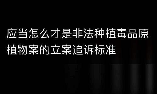 应当怎么才是非法种植毒品原植物案的立案追诉标准