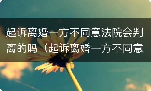 起诉离婚一方不同意法院会判离的吗（起诉离婚一方不同意咋办）