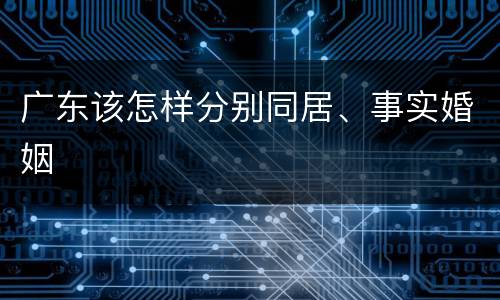 广东该怎样分别同居、事实婚姻