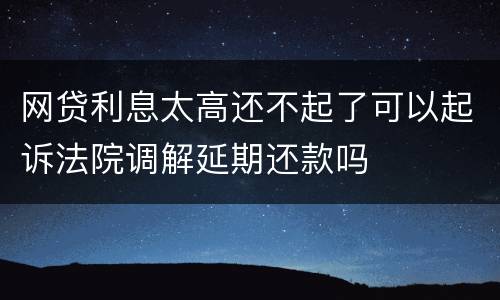 网贷利息太高还不起了可以起诉法院调解延期还款吗