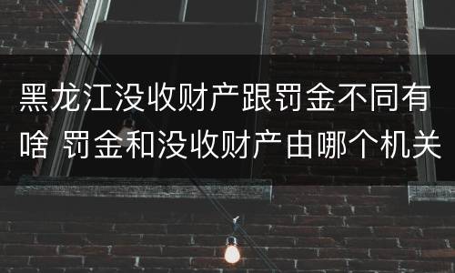 黑龙江没收财产跟罚金不同有啥 罚金和没收财产由哪个机关执行