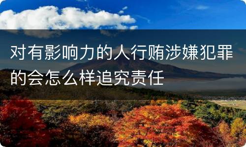 对有影响力的人行贿涉嫌犯罪的会怎么样追究责任