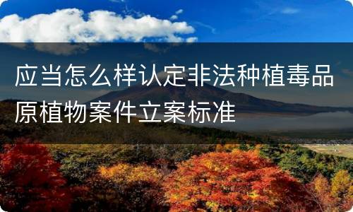 应当怎么样认定非法种植毒品原植物案件立案标准