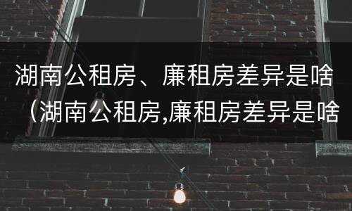 湖南公租房、廉租房差异是啥（湖南公租房,廉租房差异是啥原因）