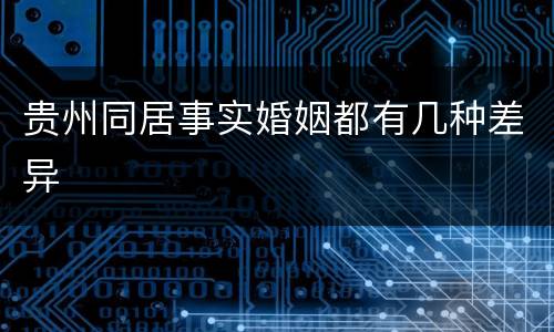 贵州同居事实婚姻都有几种差异